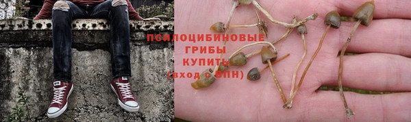 молекула духа Инсар