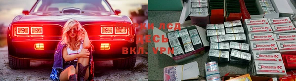 молекула духа Инсар