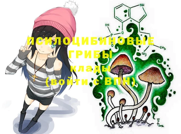гидра Иннополис