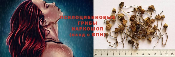 гидра Иннополис