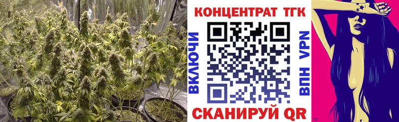 Купить  Зверево  Дистиллят ТГК гашишное масло 